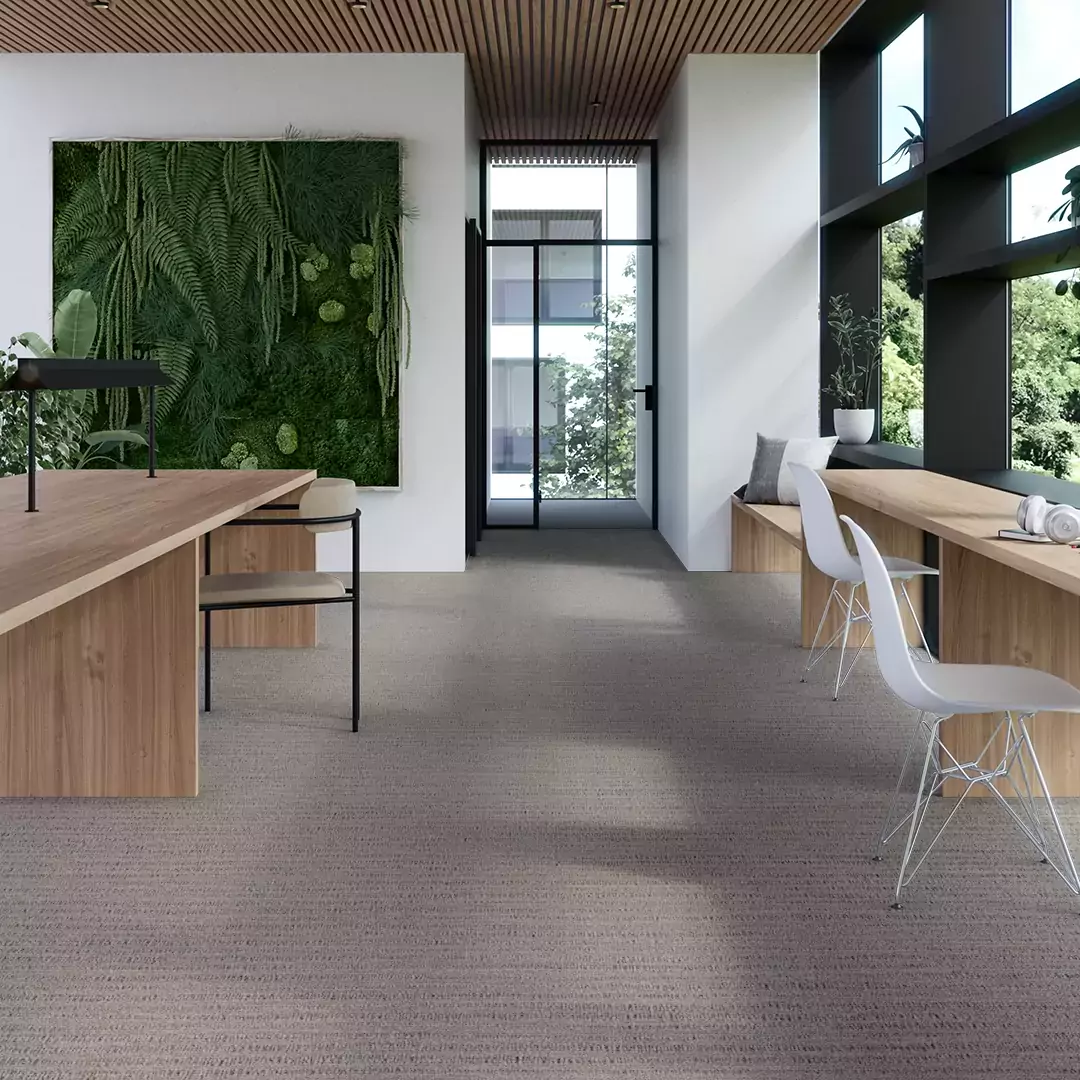 Reform New Wave - Image 3