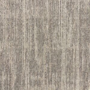 BCM - Dimension - 02