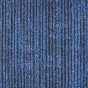 BCM - Dimension - 05