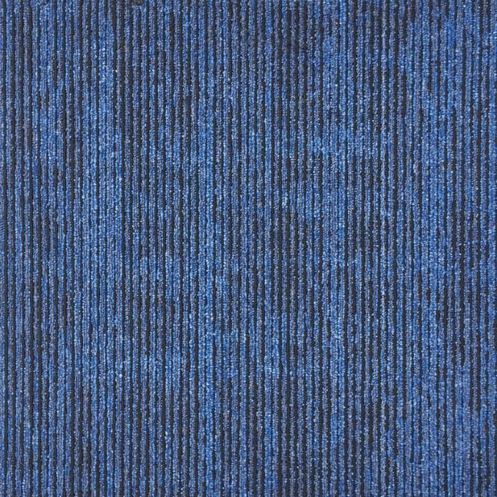 BCM - Dimension - 05