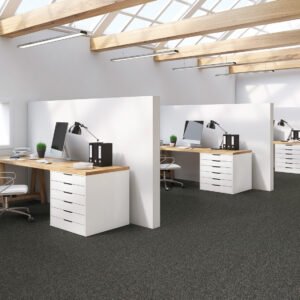 Adventurer Roll Carpet