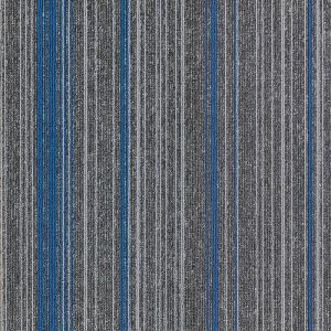 BCM - Linear - 04