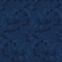 Camouflage