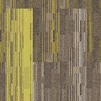 Crayon 545-544-533